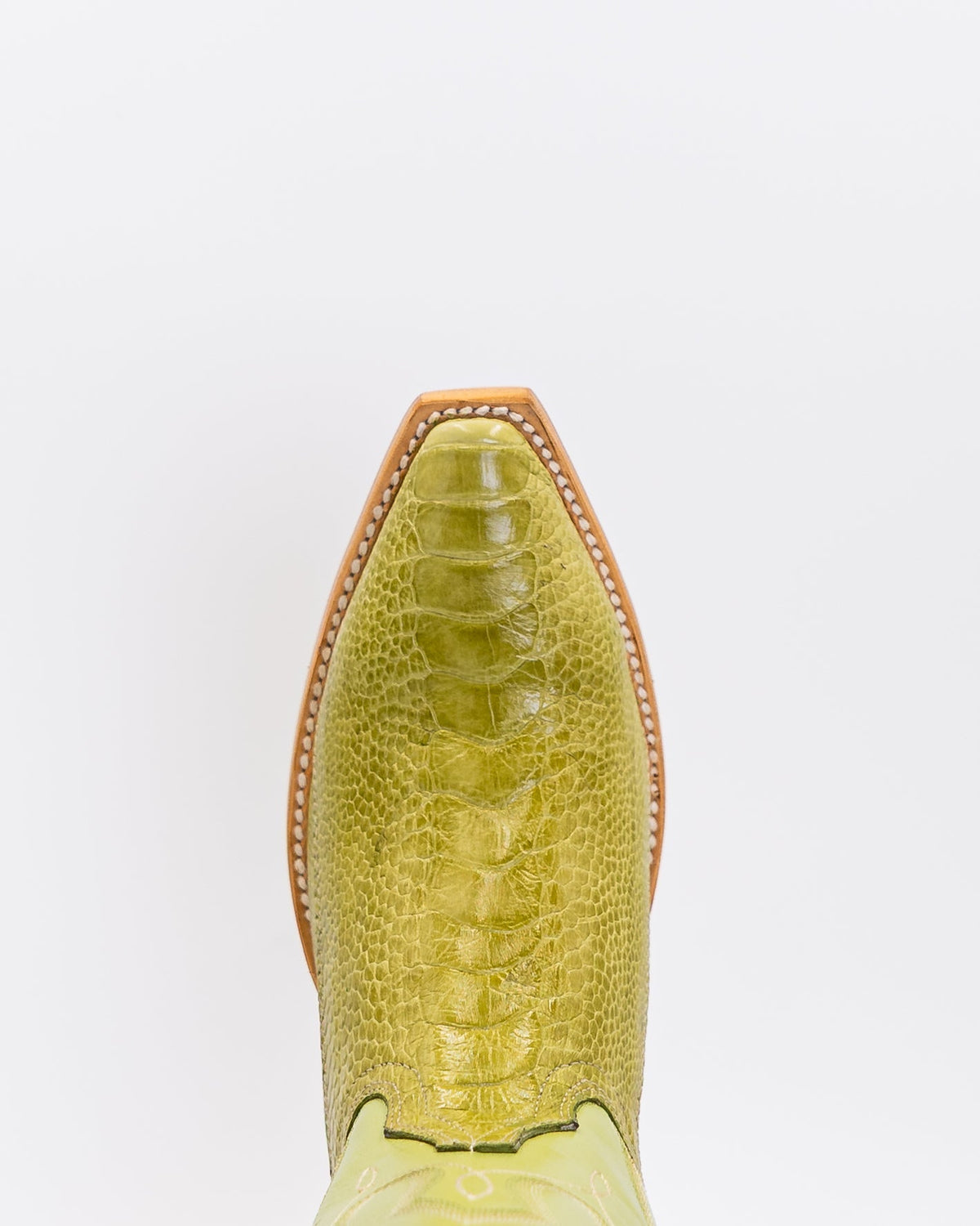 Kelly Lime