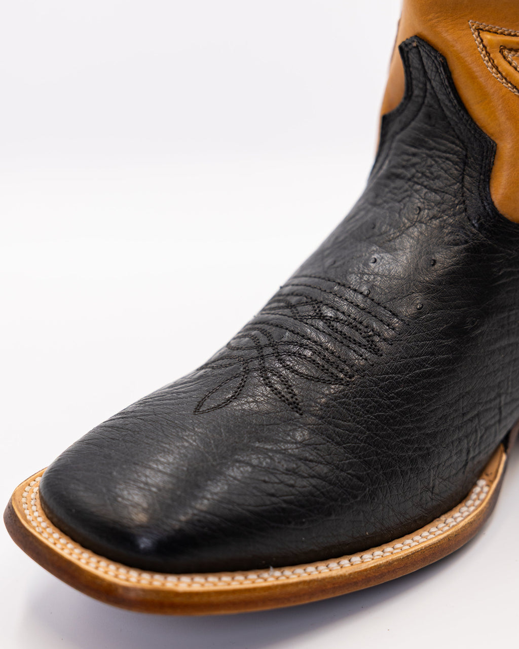 Ostrix Coal/Camel