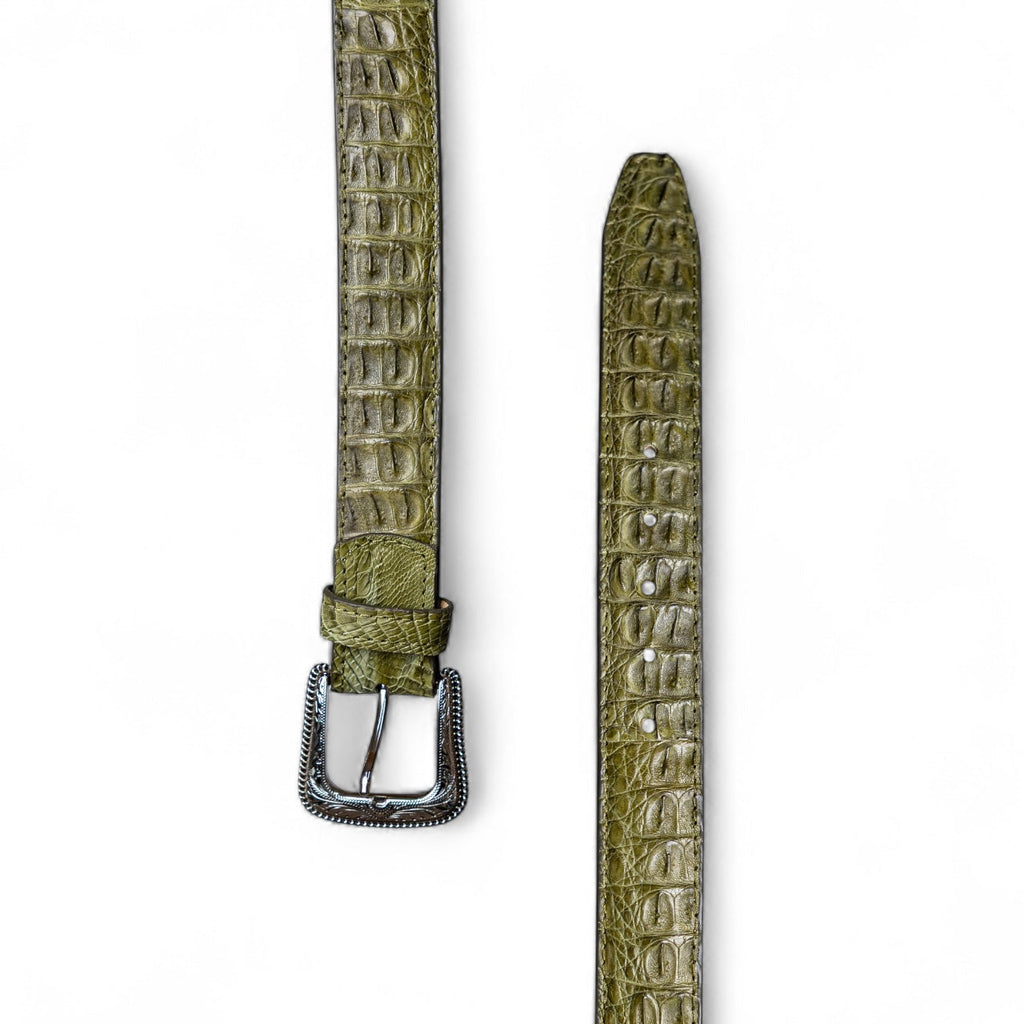 Caiman Agave