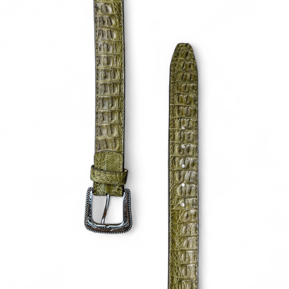 Caiman Agave