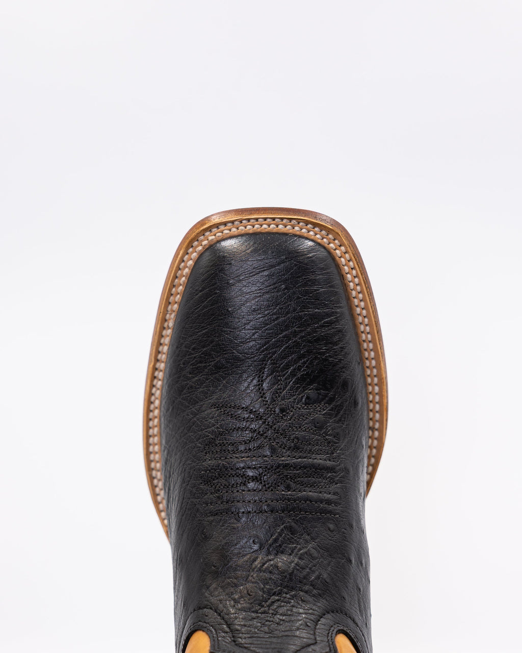 Ostrix Coal/Camel