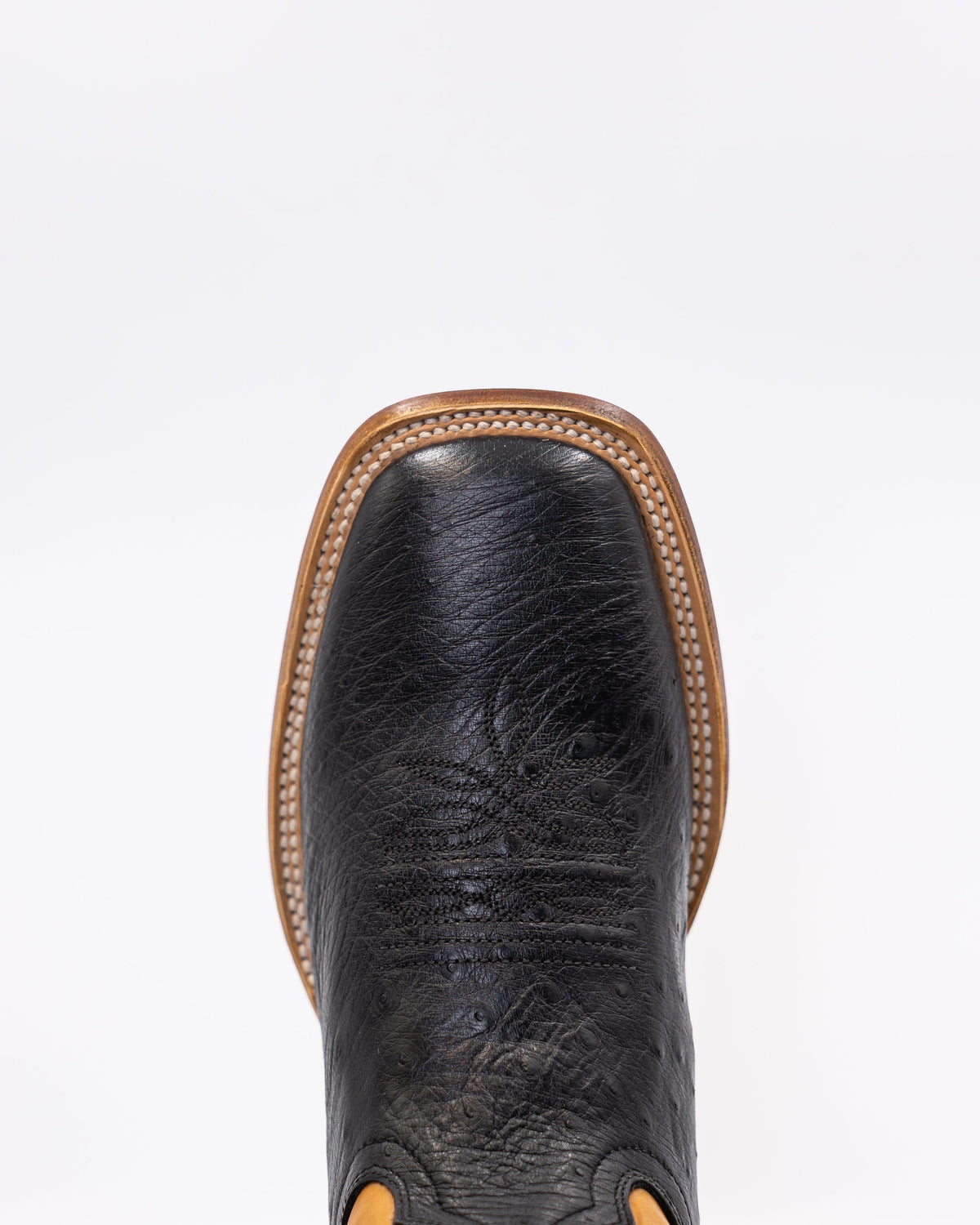 Ostrix Coal/Camel